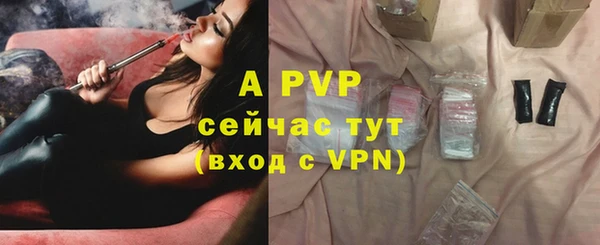 гидропоника Каменка