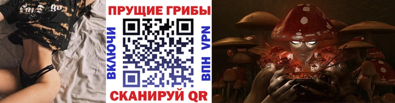 Галлюциногенные грибы Cubensis  Купить закладки  Салаир 